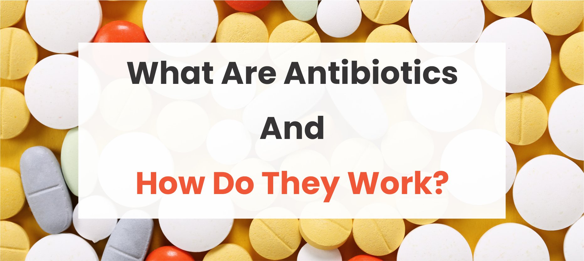 What are Antibiotics and How do they Work?