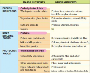 nutrition sources