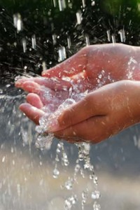 Monsoon related illnesses and precautions