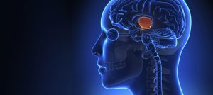 Cerebrovascular Accident (Brain Stroke) and its prevention