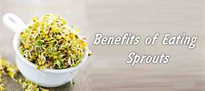 Sprouts health benefits