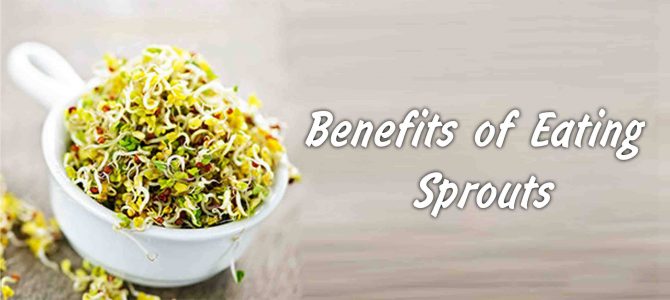 Amazing Health Benefits of Organic Sprouts