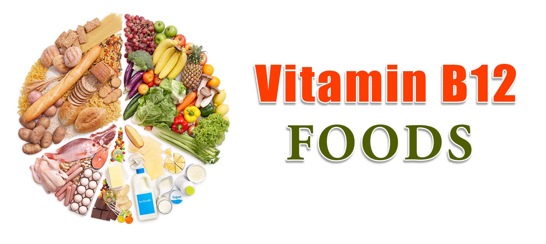 Foods Rich in Vitamin B-12