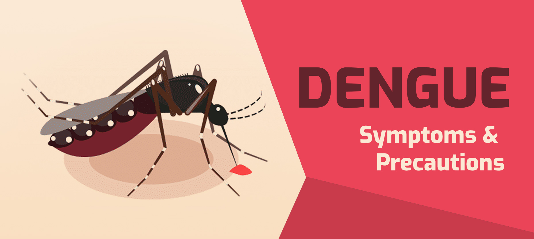 Dengue – A Viral Illness Transmitted by Mosquito Bite