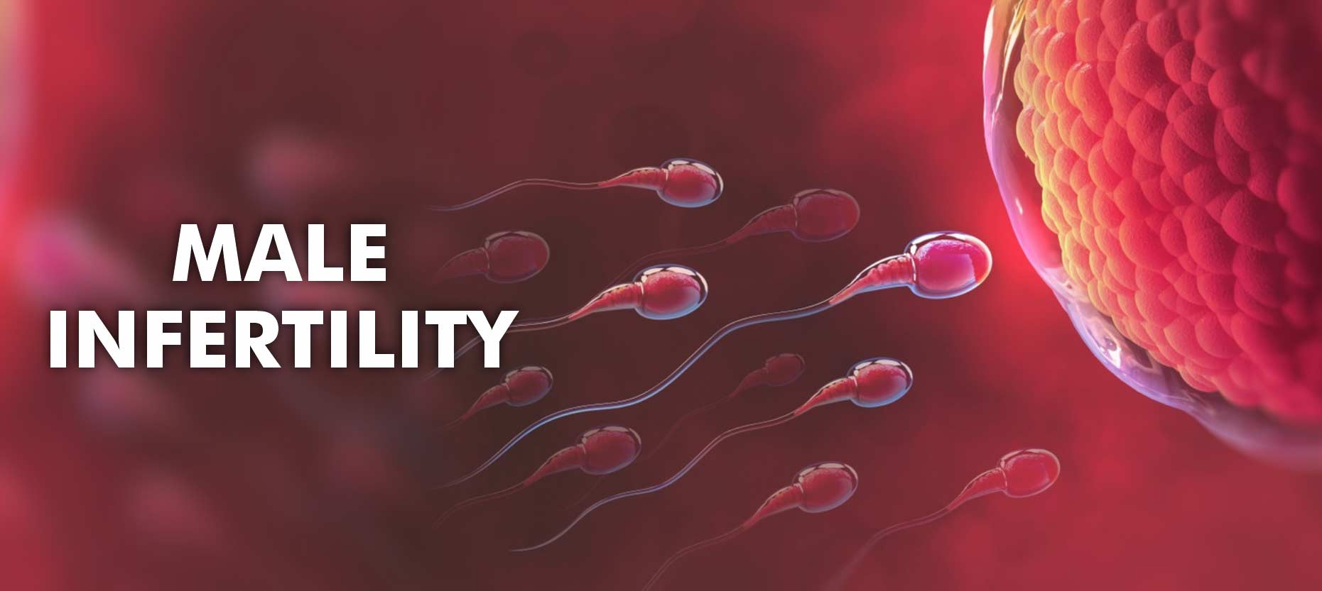 How To Know If You Have Infertility Issues Male