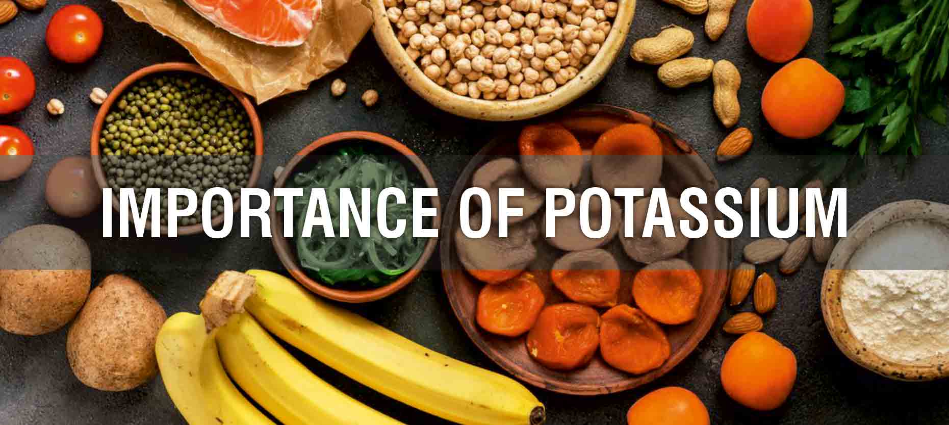 Importance of Potassium