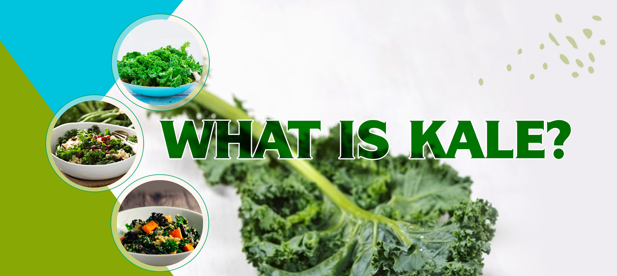 What is Kale? What are its health benefits?