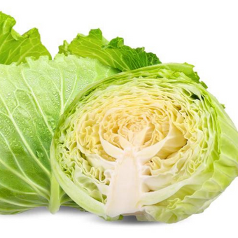 cabbagevegetables