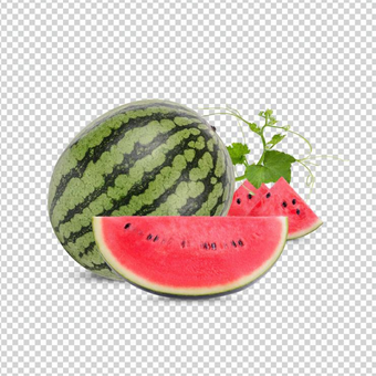 watermelon-gut