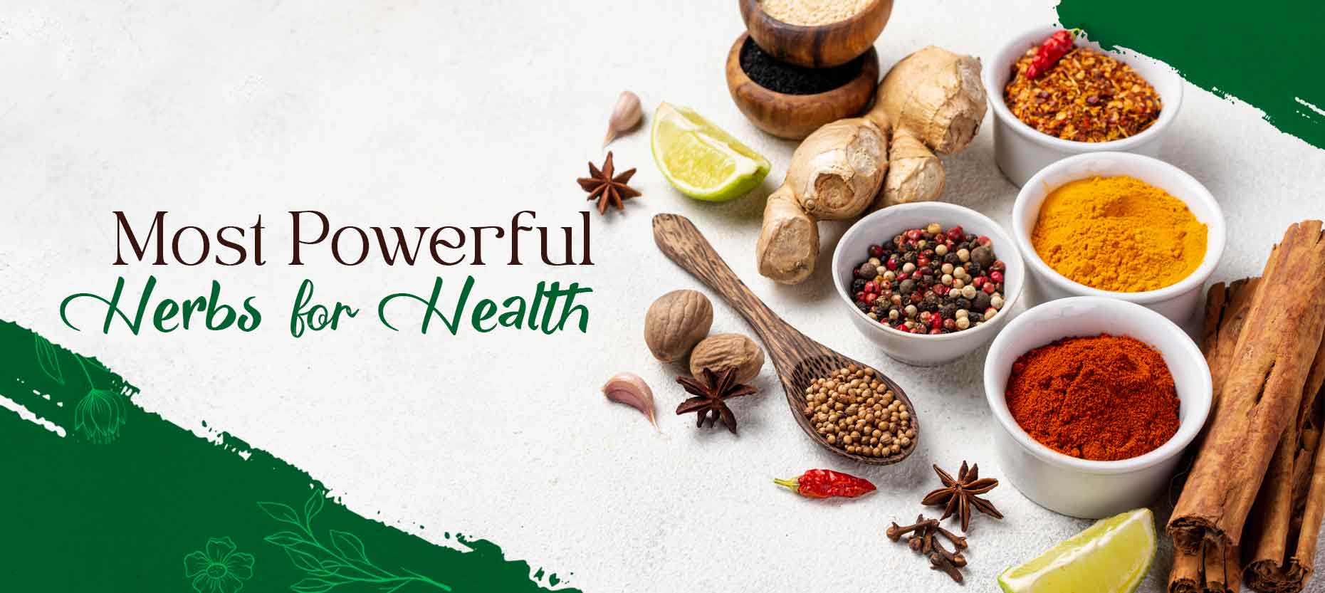 Most Powerful Herbs for Health