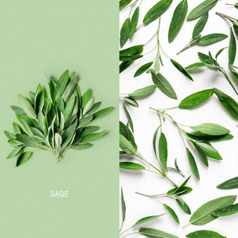 sage leaves