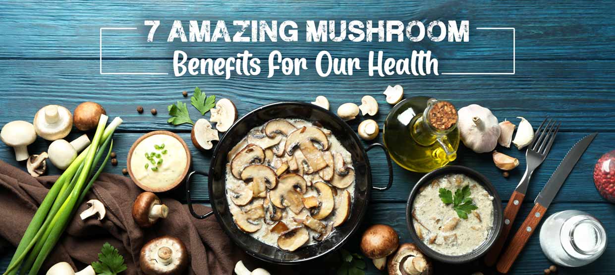7 Amazing Mushroom Benefits For Our Health