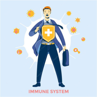 boost immune sysytem function