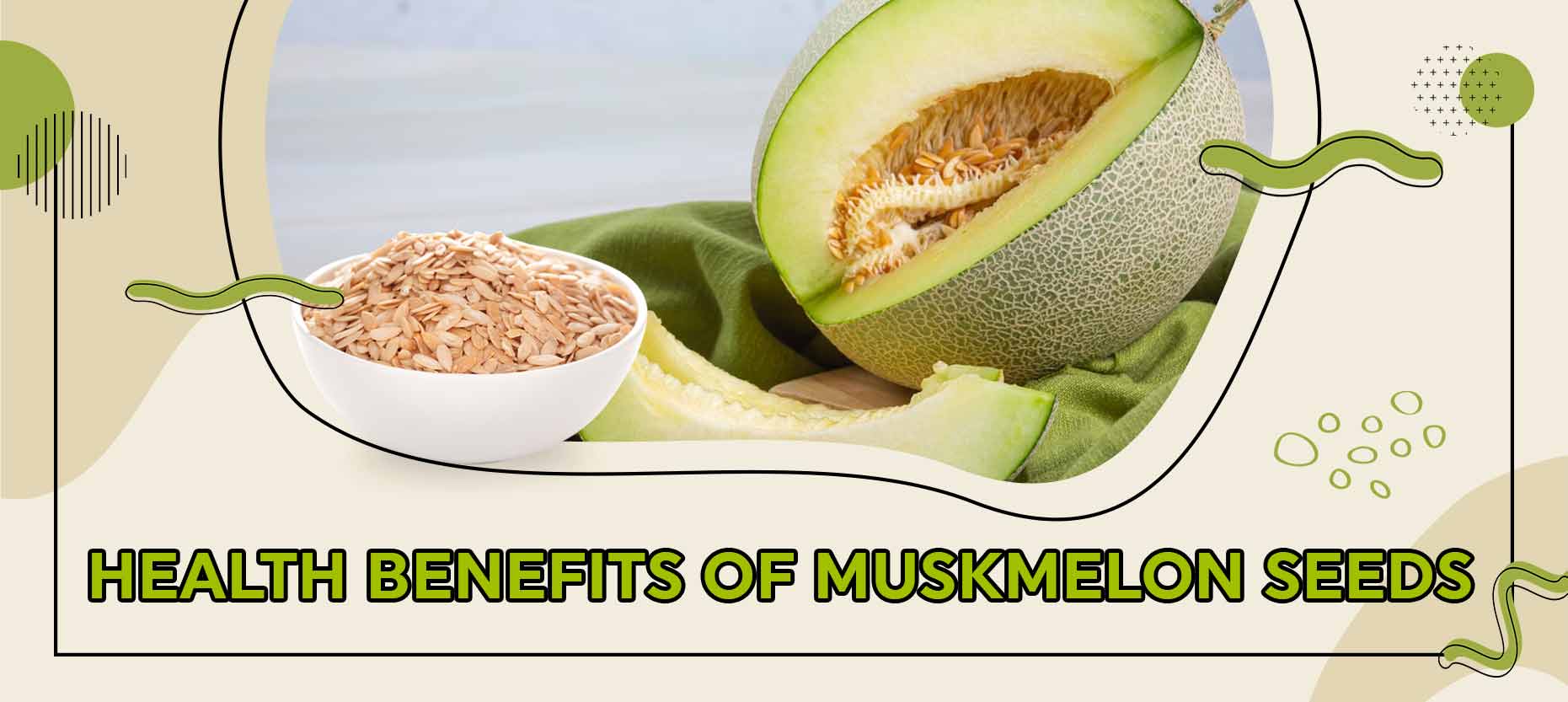 Health Benefits of Muskmelon Seeds