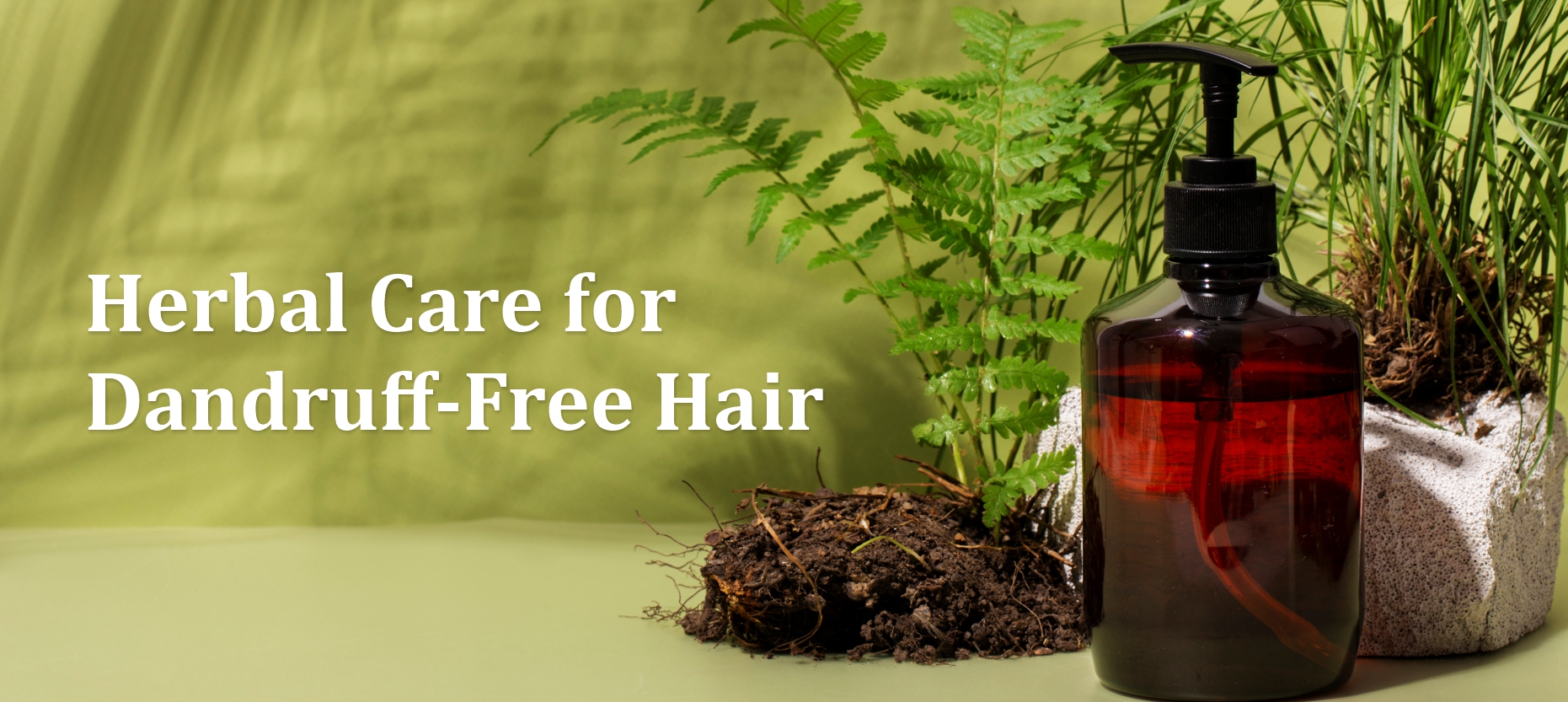 Herbal Anti-Dandruff Shampoos for a Healthy Scalp